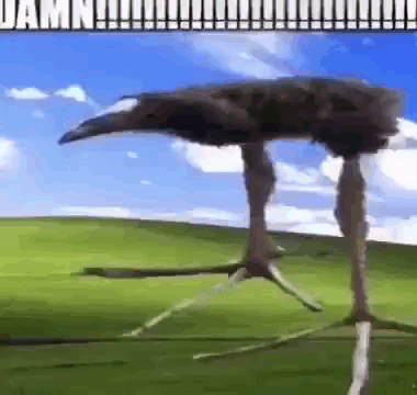 DAMN