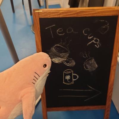 Aisling@blahaj.social