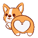 corgi_wiggle