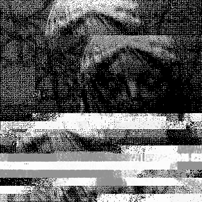 xyhhx@corteximplant.com