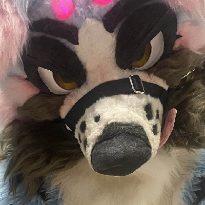 Lexyaus_fursuits@furries.club