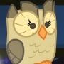 owls@yshi.org