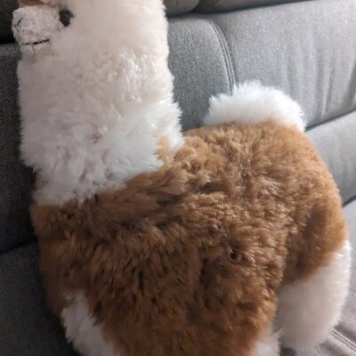 CarePackage17@mastodon.gamedev.place