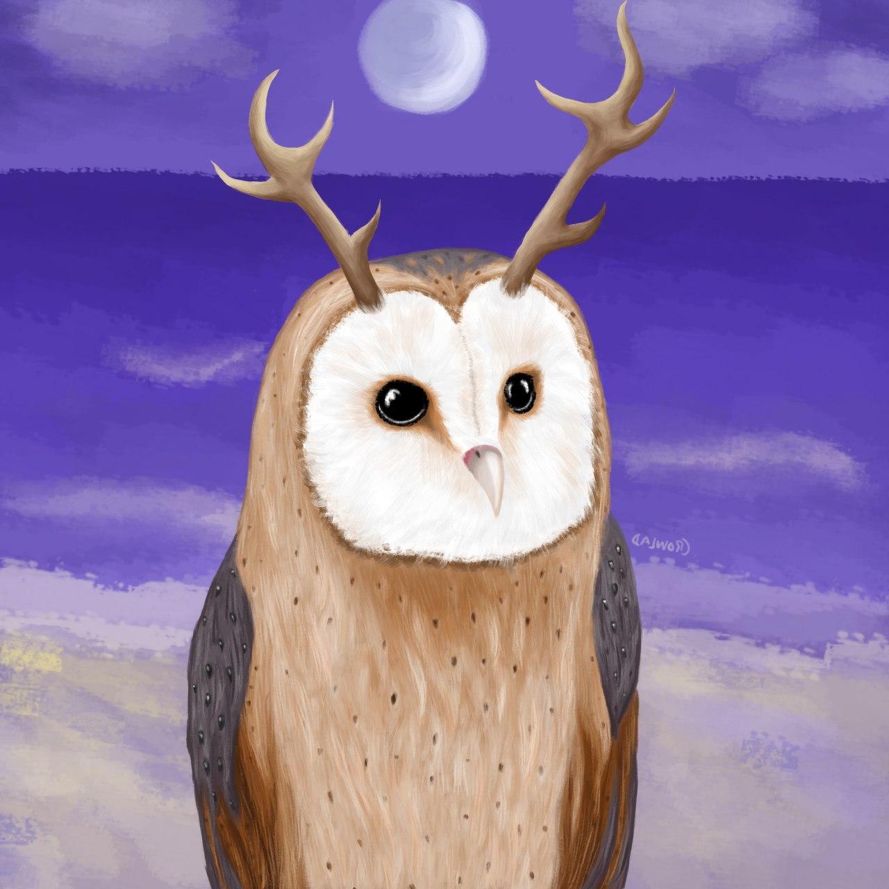 owl@u8.is