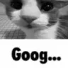 goog