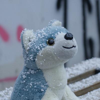 ptrc@social.treehouse.systems