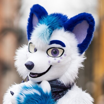 Polarie_Fox@meow.social