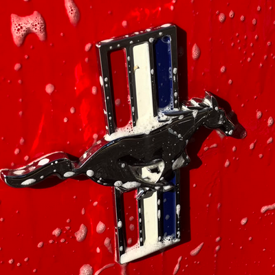 ShredderFeeder@shredderfood.com