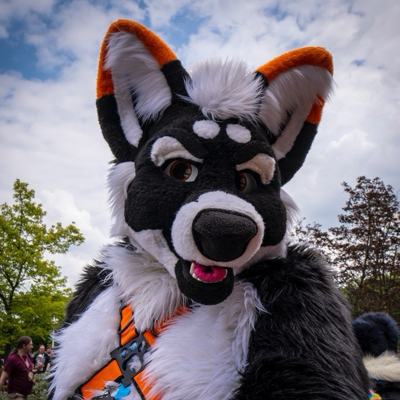 raigho@huskies.online