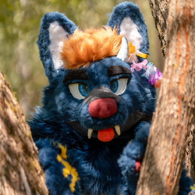 Stejf@mastodon.wolfssocial.space