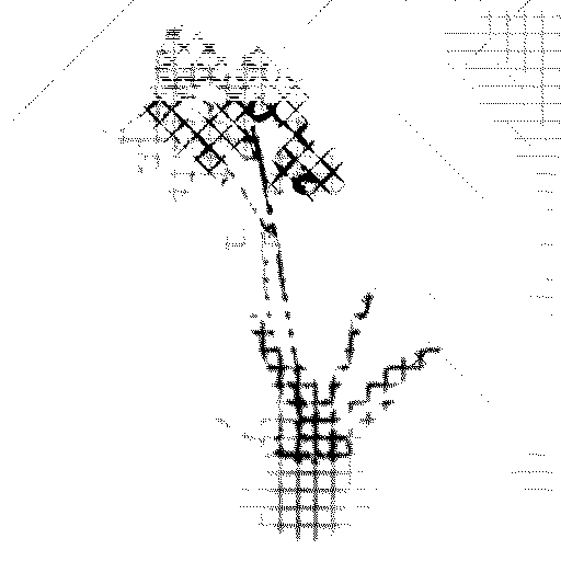 orchidea@lamp.leemoon.network