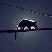 possumeveryhour@eu-isoe-west-1.com