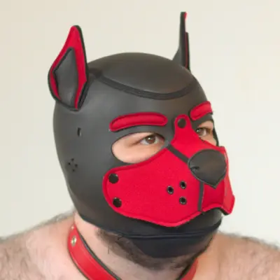 quat@woof.group