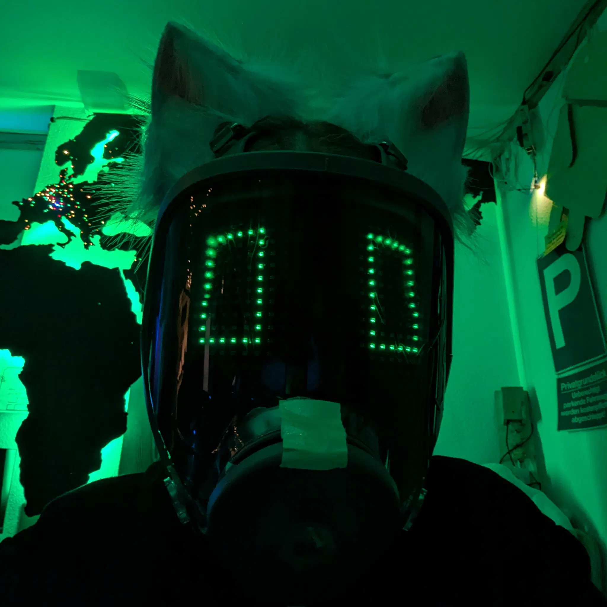 bread@plasmatrap.com