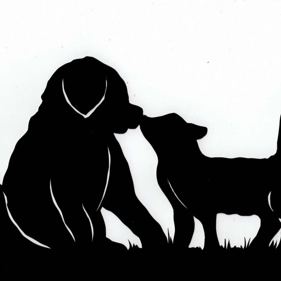 ellie6@transfem.social