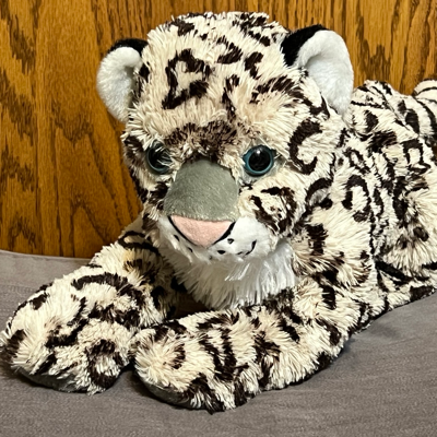 FurryBeta@shark.community