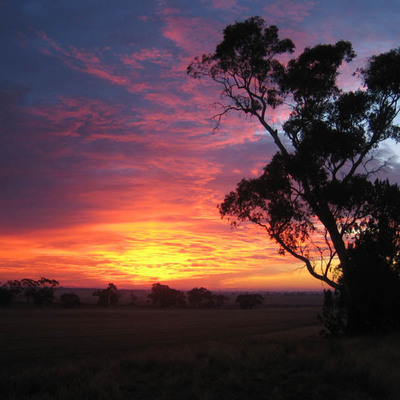 sin@misskey.sindastra.net