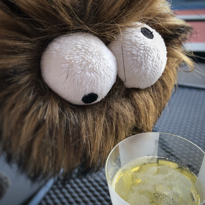 moskitokoenig@plushies.social