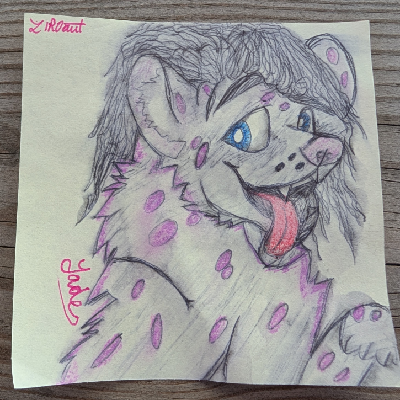 zentibel@catcatnya.com