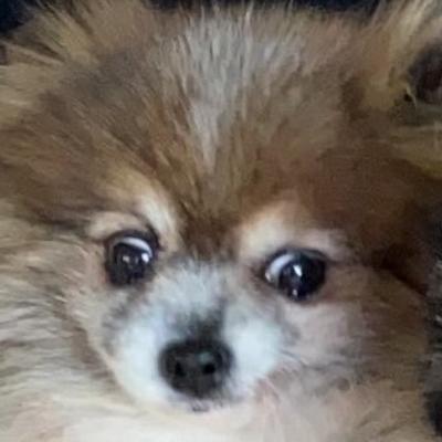 joe@f.duriansoftware.com