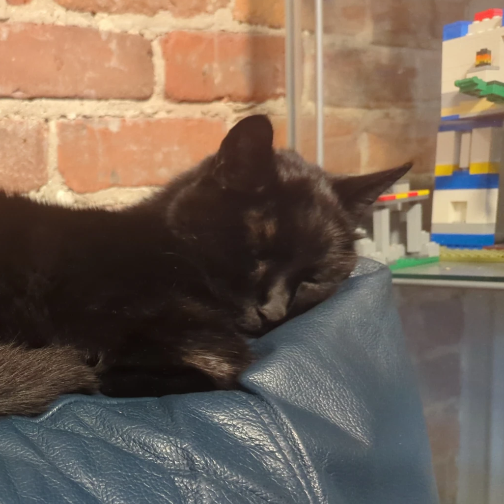 driusan@doomscroller.social