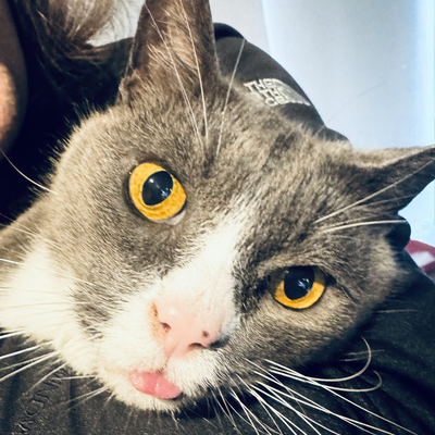 BathysphereHat@mastodon.online