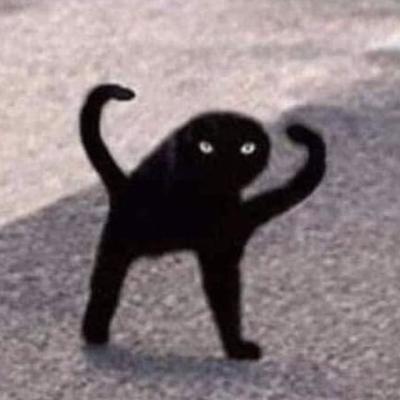 CatsWhoCode@twoot.site