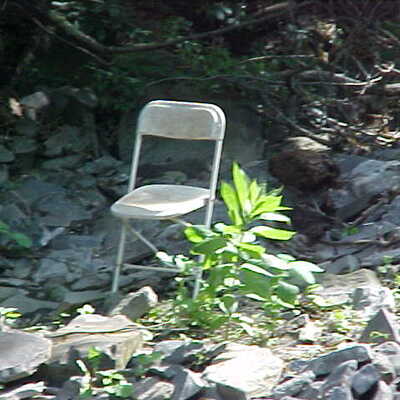 sudo_EatPant@critter.cafe