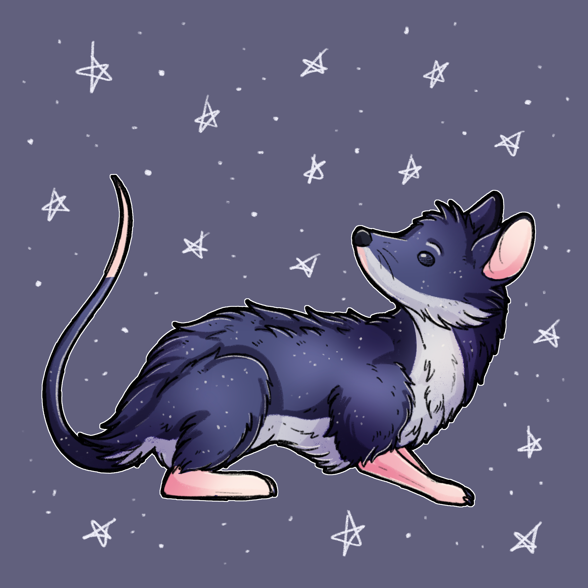possum@therian.zone