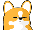 corgi_wtf1