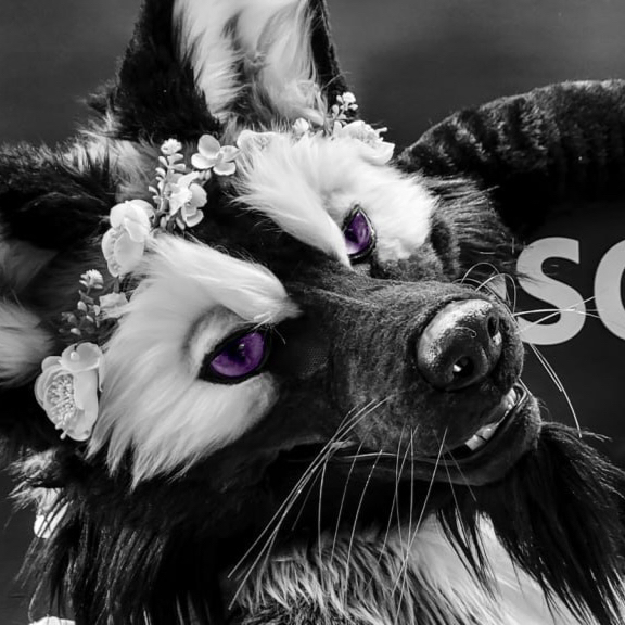 silver-sebastian.bsky.social@bsky.brid.gy