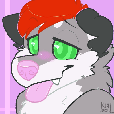 silverwuffamute@blimps.xyz