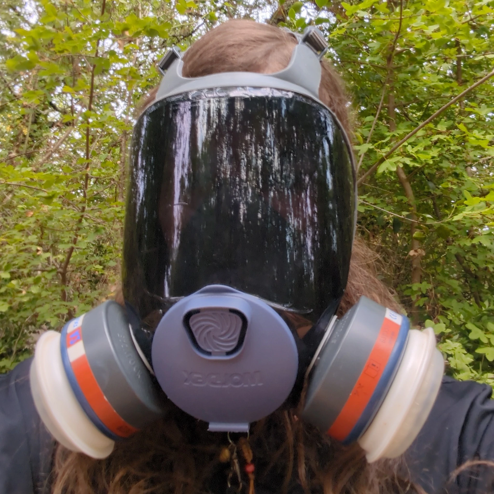 tasiaiso@kitsunes.club