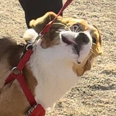 rootnode@social.wollwage.com