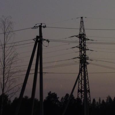 livefish@mastodon.ml