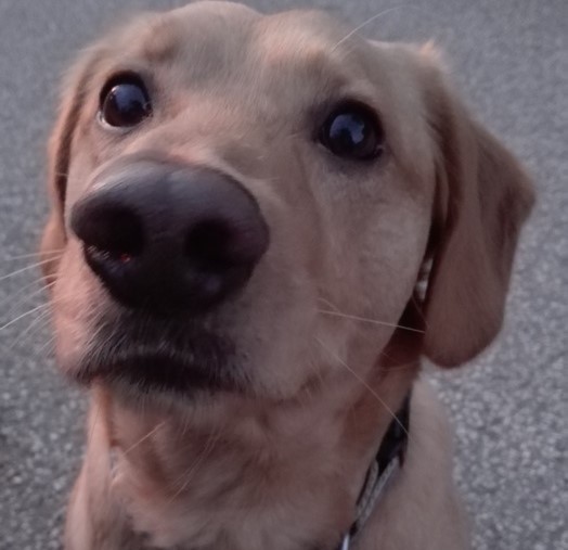 sotolf@alpha.polymaths.social