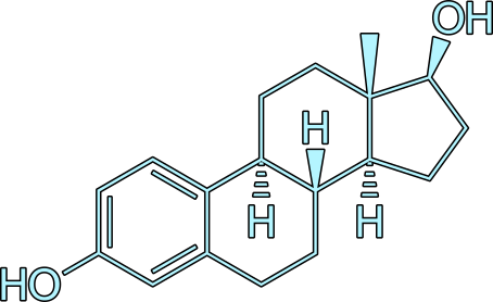 estradiol