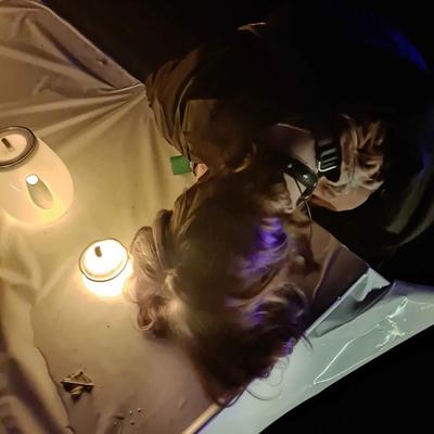 bat@social.treehouse.systems