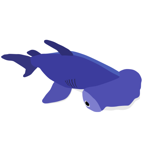 hammerhaj
