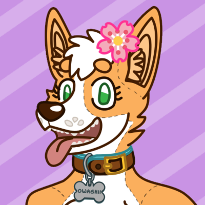owashe@meow.social