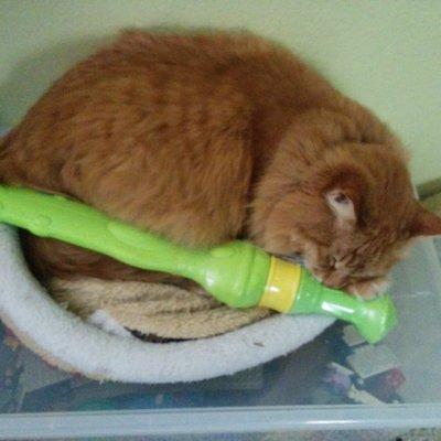 alienghic@timeloop.cafe