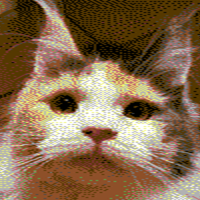 patrick@retro.social