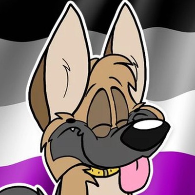 harvestmalletus@tiggi.es