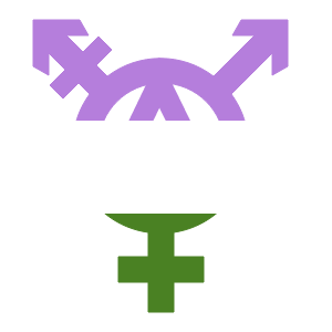 tranarchy_a_genderqueer