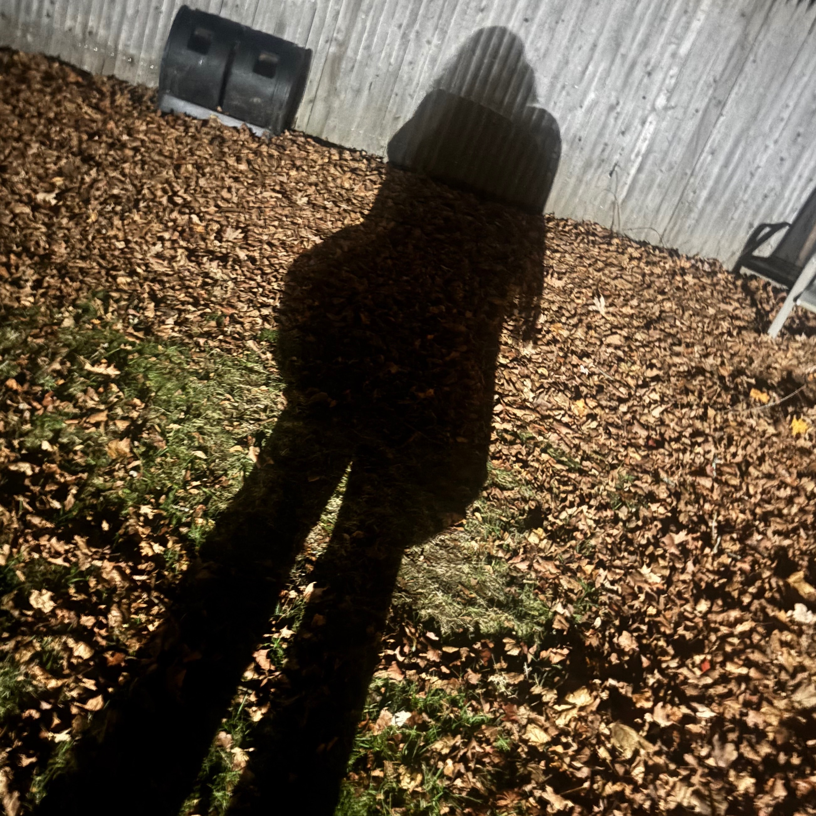OneRatOneVerySmallTrenchCoat@social.xenofem.me