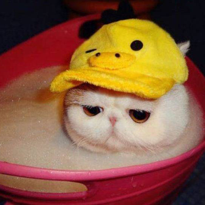 Sasukecoochieha@www.librepunk.club