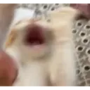 acat_torment