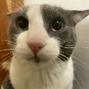 jorgaborg@brain.worm.pink