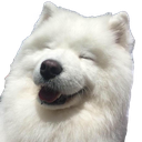 Floofer@mk.catgirlsfor.science