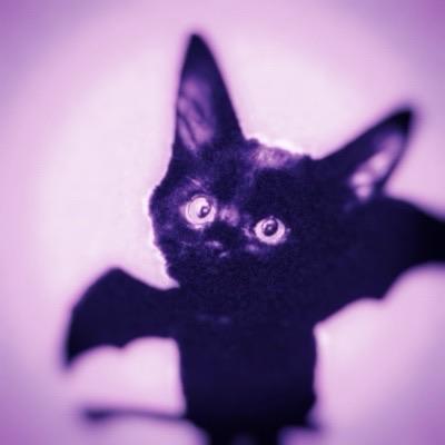 h@social.besties.house